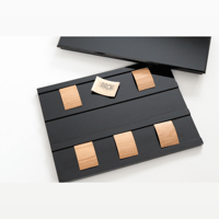 Gingko Audio ARCH Platform variant 1