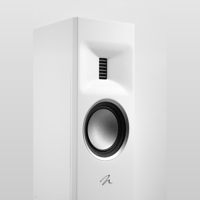 MartinLogan Motion XT F200 variant 42