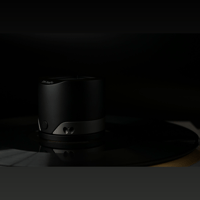 DS Audio ES-002 Eccentricity Detection Stabilizer variant 6