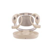 Kiwi Ears Spark variant 2