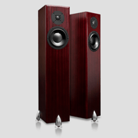 Totem Acoustic Forest variant 2