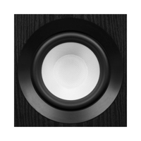 Fluance Fluance RT82 Vinyl Turntable, Ri91 Powered Floorstanding Speakers, PA10 Preamp variant 7