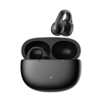 Edifier Comfo C / R1 variant 5