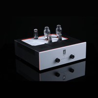 SW1x AMP V “Titan” Integrated Amplifier variant 8