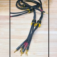 Snake River Audio Takshaka speaker cables variant 1