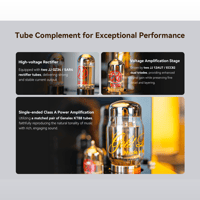 Cayin HA-6A MK2 variant 6