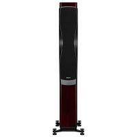 Dynaudio Confidence 50 variant 15