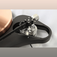 TW-Acustic Raven Anniversary variant 2