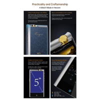 Cayin N7+ variant 21