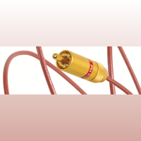 Van den Hul The Orchid variant 1