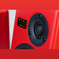 s.m.s.l Tabebuia variant 6