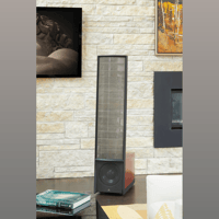 MartinLogan Expression  ESL 13A variant 2