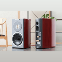 Audiovector R 1 variant 5