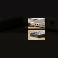 FiiO M33 R2R variant 13