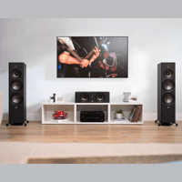 Polk Audio Reserve R300 variant 7