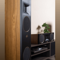 MartinLogan Motion XT C100 variant 22