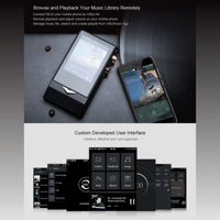 Cayin N8 Brass Black variant 9