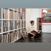 MartinLogan Motion Foundation F1 variant 28