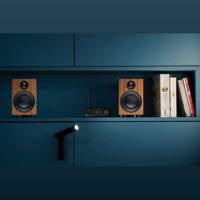 Pro-ject Audio Systems - USA Speaker Box 3 E Carbon variant 2