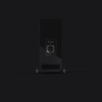 Perlisten R5t variant 4