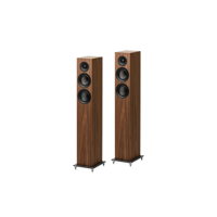 Pro-ject Audio Systems - USA Speaker Box 10 E Carbon variant 2