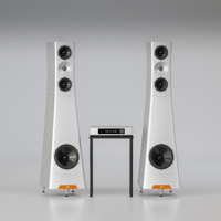YG Acoustics Sonja 3 Live variant 1