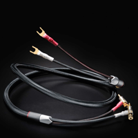 Furutech Evolution Speaker II variant 1