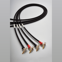 Jorma Audio Duality variant 1