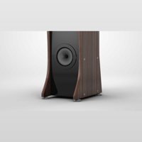 Cessaro Horn Acoustics BETA 0.5 II variant 4