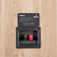Davis Acoustics Ariane 9 variant 16