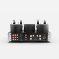 Fezz Audio Lybra 300B variant 24