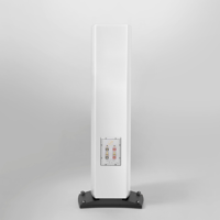 Triangle Magellan - Cello 40th variant 23