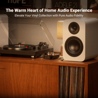 Fosi Audio Fosi Audio Box X2 MM Turntable Phono Preamplifier variant 2