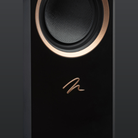 MartinLogan Motion F20 variant 27
