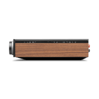 Cambridge Audio Evo 300 variant 4