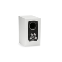 MartinLogan Motion XT B100 variant 34