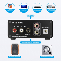 Fosi Audio Fosi Audio TP-02 Subwoofer Amplifier variant 5