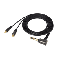 Audio-Technica ATH-CK2000Ti variant 3