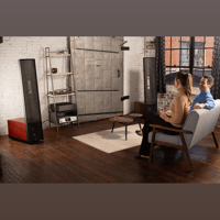MartinLogan Expression  ESL 13A variant 46