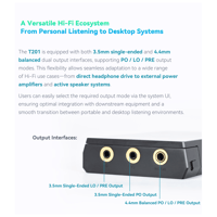 Cayin N6iii T201 variant 11