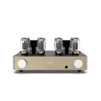 Fezz Audio Olympia Dual Mono Amplifier variant 10
