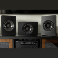 Hsu Research CCB-8 Speaker variant 6