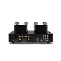 Fezz Audio Olympia Dual Mono Amplifier variant 23