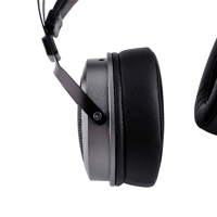 Kiwi Ears Altruva variant 7