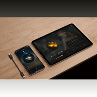 Cayin CS-C2C variant 2