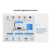 Cayin BTC-2 variant 7