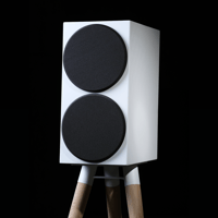 Buchardt Audio P300 variant 8