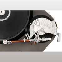 Reed Reed 5T variant 3