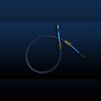 Siltech Cables Royal Double Crown Network variant 1