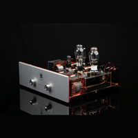 SW1x AMP IV “Aura” Integrated Amplifier variant 4